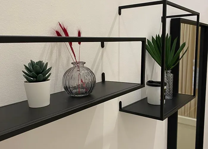 Domus Scudo Di Francia